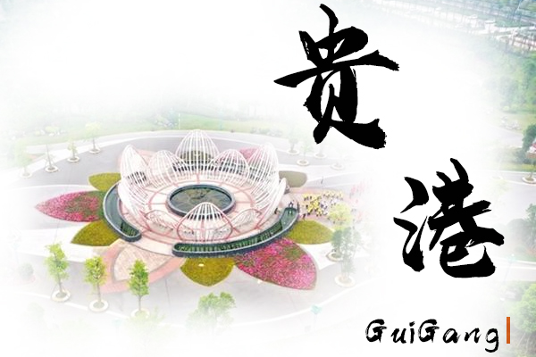 贵港汽车托运公司